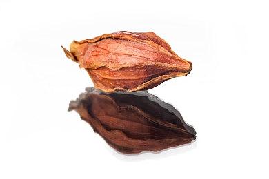 《女神异闻录5》商标更新 或暗示新平台移植